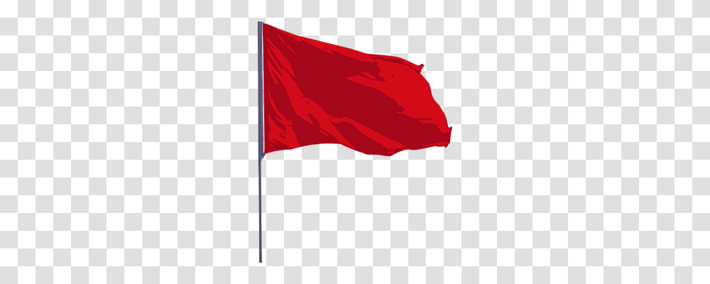 Flag Technology, Plant, Flower Transparent Png