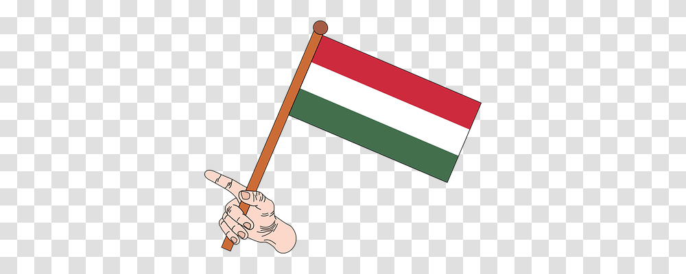 Flag Symbol, American Flag, Hand, Stick Transparent Png