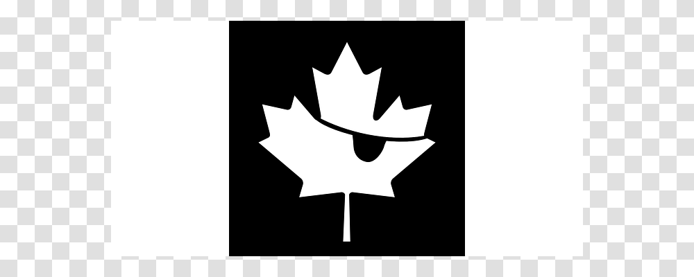 Flag Leaf, Plant, Maple Leaf, Person Transparent Png