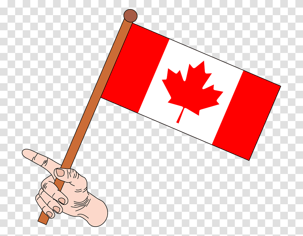 Flag Canada Flag Canada Canadian Flag Graphics Happy Canada Day 2019, Leaf, Plant, American Flag Transparent Png