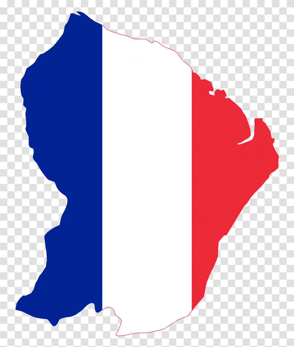 Flag Map Of French Guiana, Person, Logo, Plot Transparent Png
