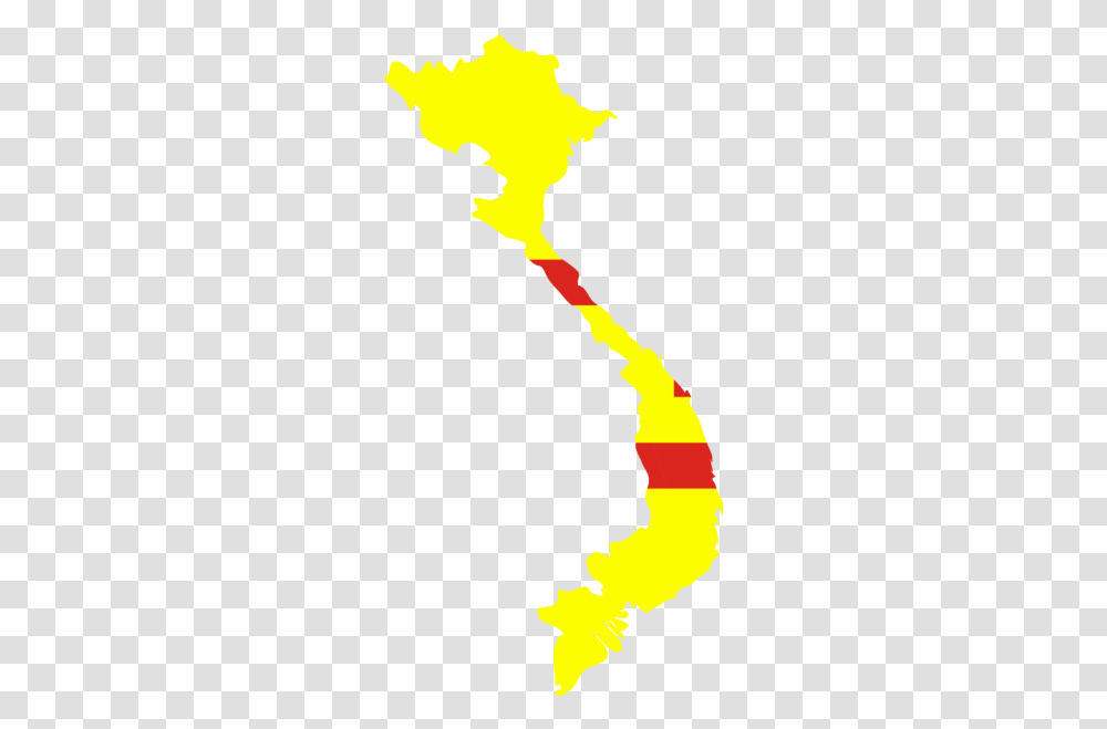 Flag Map Of The Empire Of Vietnam, Person, Human, Light Transparent Png