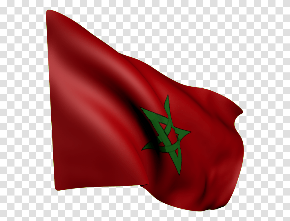 Flag Morocco Wave Red Green Star Flag Drapeau Maroc, Hand, Plant, Rose Transparent Png