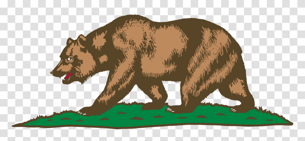 Flag Of California, Wildlife, Animal, Mammal, Bear Transparent Png