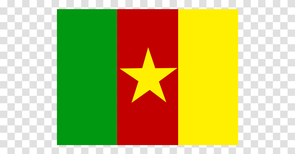 Flag Of Cameroon Logo Flag, Star Symbol, American Flag Transparent Png