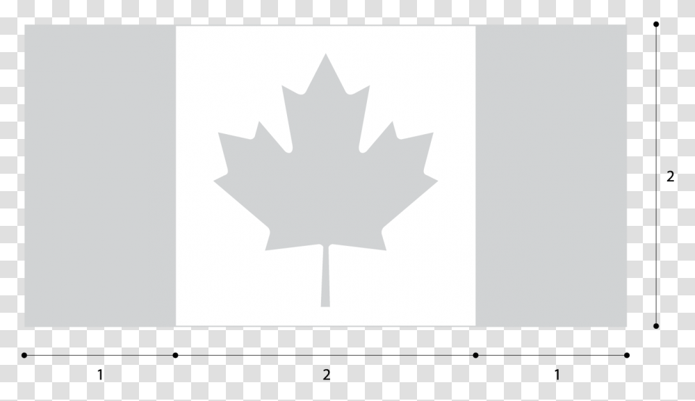 Flag Of Canada Canada Flag With Name, Leaf, Plant, Tree, Maple Leaf Transparent Png