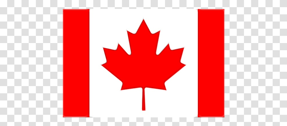 Flag Of Canada Great Canadian Flag Debate Flag Of Quebec 13 Point Canadian Flag, Leaf, Plant, Tree, Maple Leaf Transparent Png