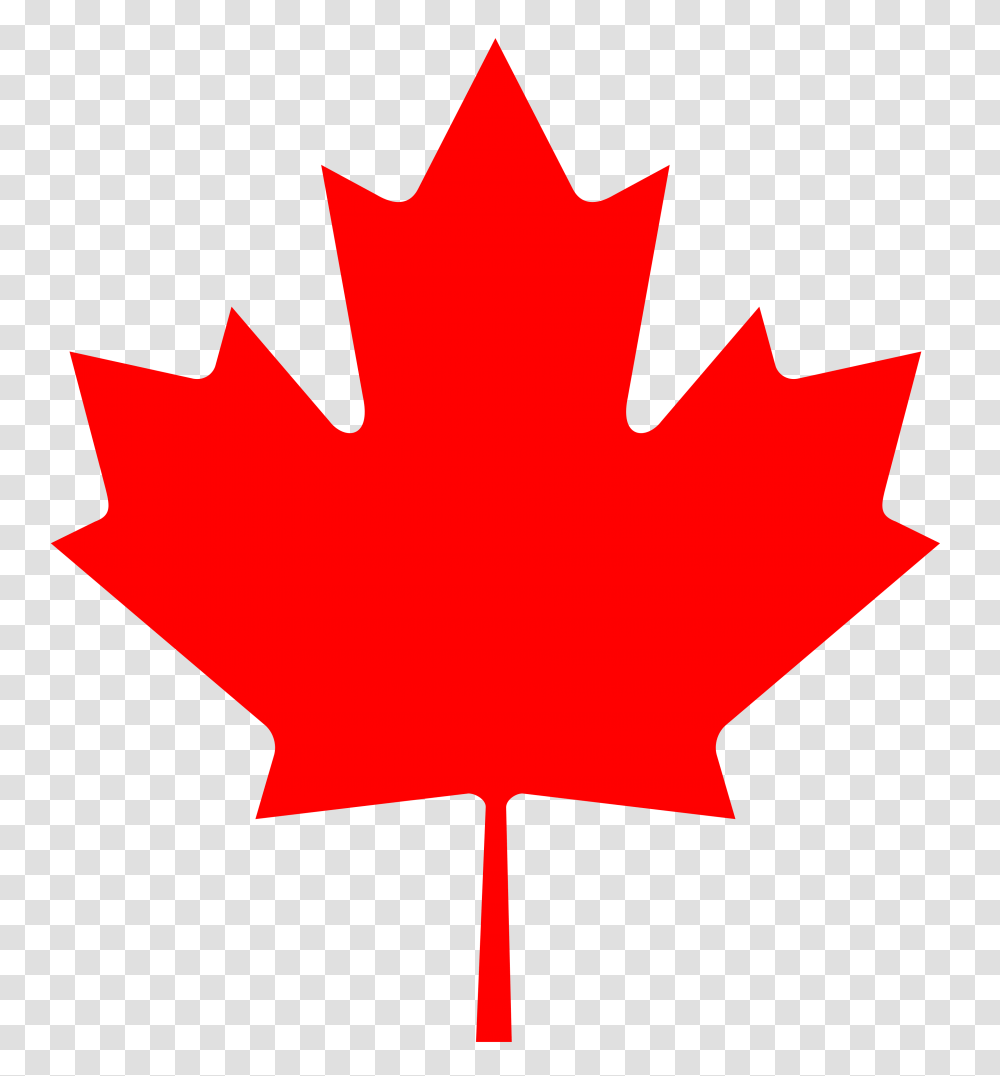 Flag Of Canada, Leaf, Plant, Tree, Maple Leaf Transparent Png