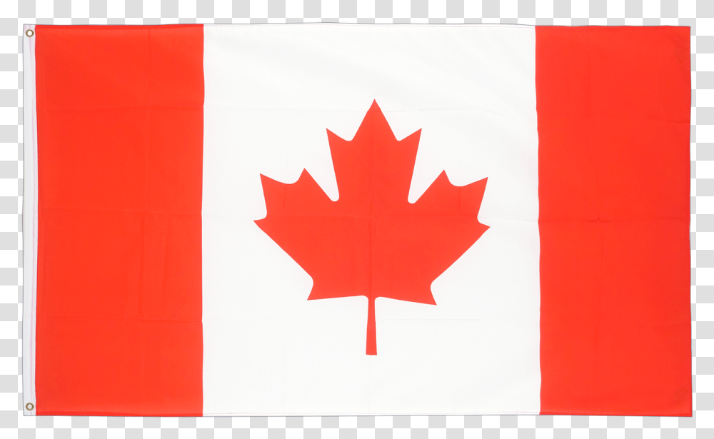 Flag Of Canada Maple Leaf National Flag Canada Flag, Plant Transparent Png