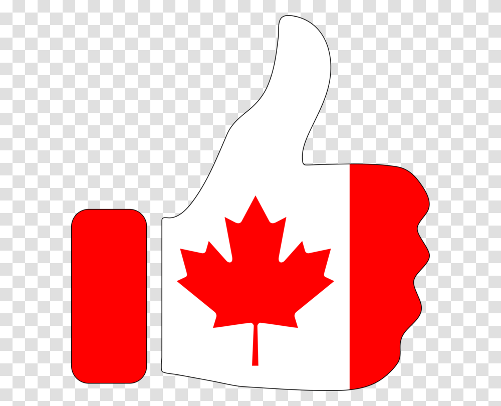 Flag Of Canada Maple Leaf National Flag, Plant, Tree, Ketchup, Food Transparent Png
