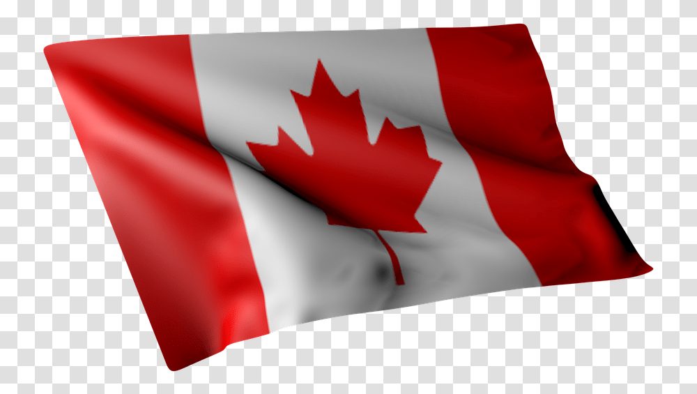 Flag Of Canada, Leaf, Plant, American Flag Transparent Png