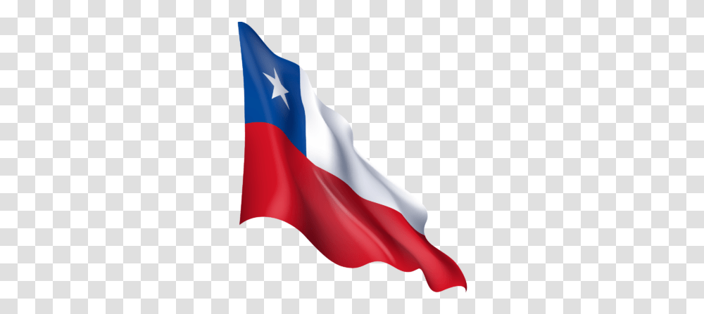 Flag Of Chile Vertical, Symbol, Person, Human, American Flag Transparent Png