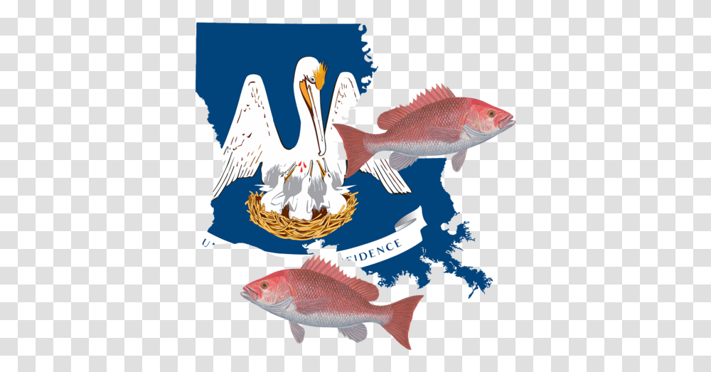 Flag Of Louisiana, Fish, Animal, Carp, Sea Life Transparent Png