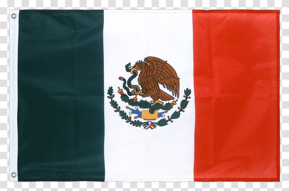 Flag Of Mexico Flag Of Mexico Fahne Mexican Cuisine Mexico Flag, Logo, Trademark, Bird Transparent Png