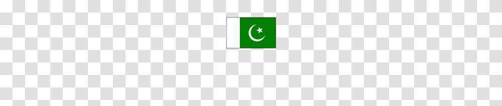 Flag Of Pakistan Favicon Information, Logo, Trademark, Business Card Transparent Png