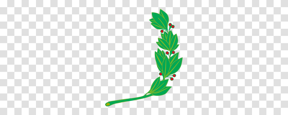 Flag Of Peru Coat Of Arms Of Peru National Symbols Of Peru Coat, Plant, Bud, Sprout, Flower Transparent Png