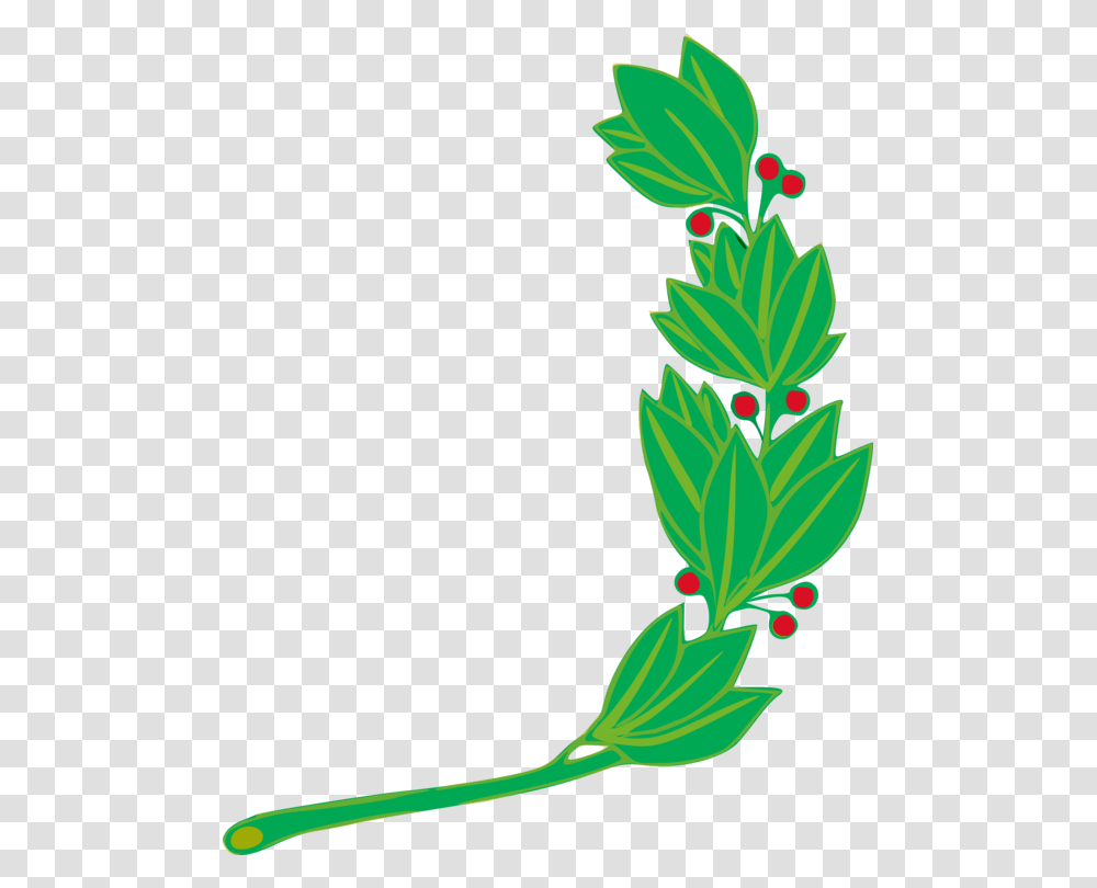 Flag Of Peru National Symbols Of Peru Coat Of Arms Of Peru Free, Plant, Flower, Blossom, Bud Transparent Png