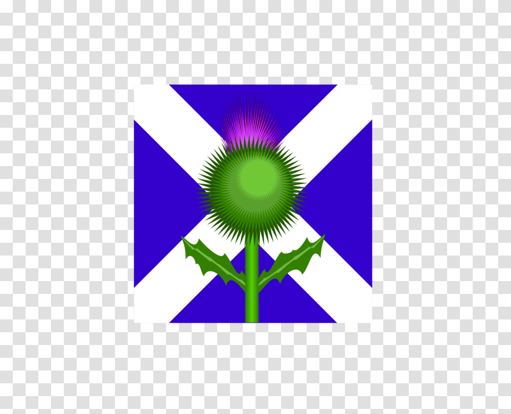 Flag Of Scotland Thistle National Flag, Plant, American Flag, Flower Transparent Png