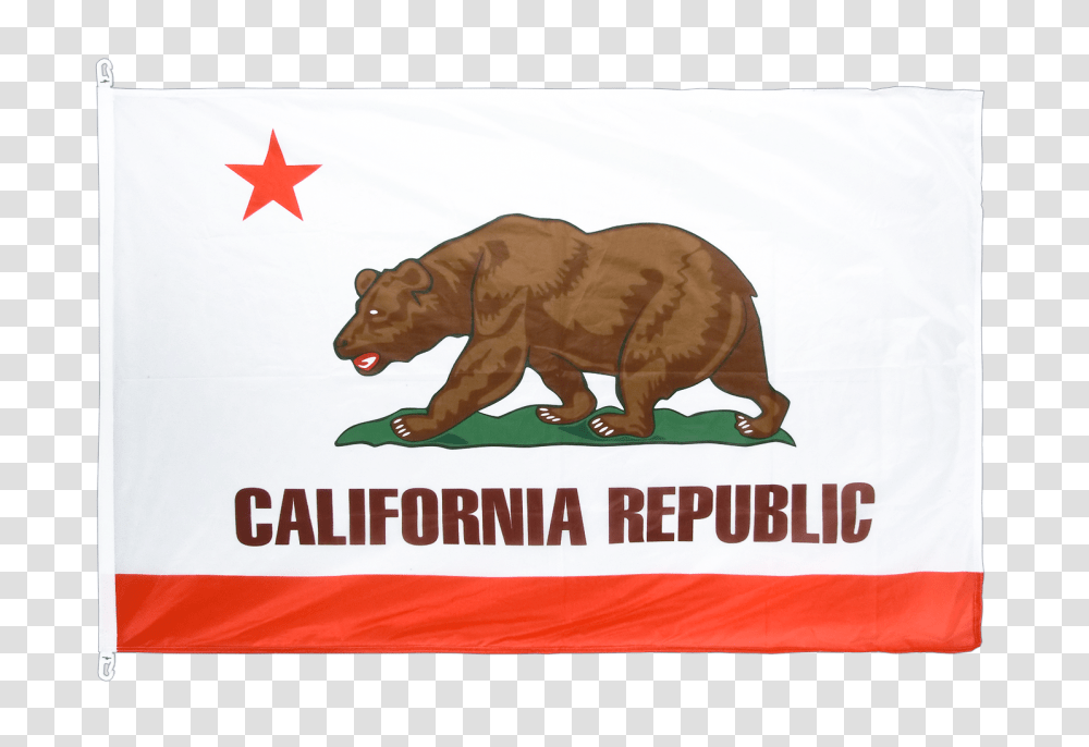 Flag Pro California, Brown Bear, Wildlife, Mammal, Animal Transparent Png