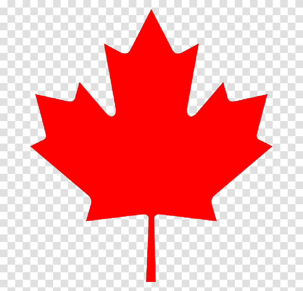 Flag Red Sign Outline Symbol Canada Leaf Cartoon Canada Maple Leaf, Plant, Tree Transparent Png