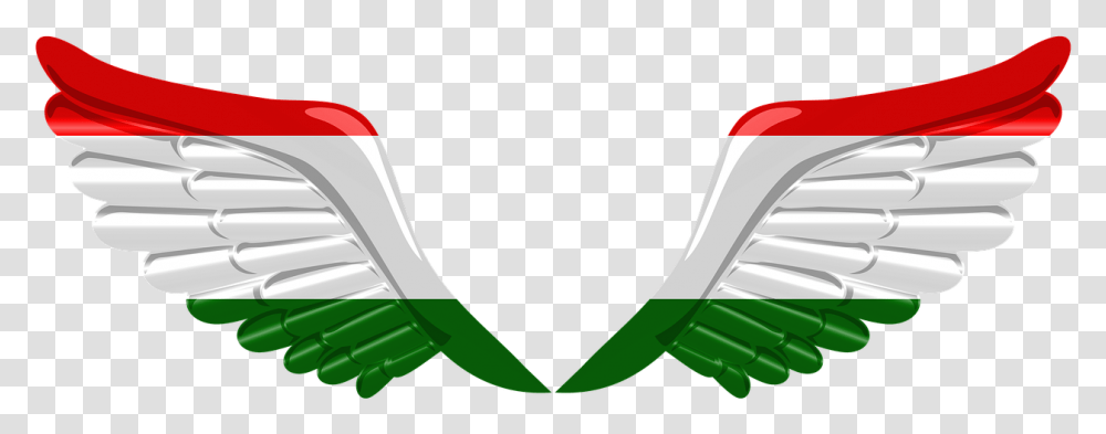 Flag Wings Tajikistan Free Photo Iran Flag, Plant, Food Transparent Png