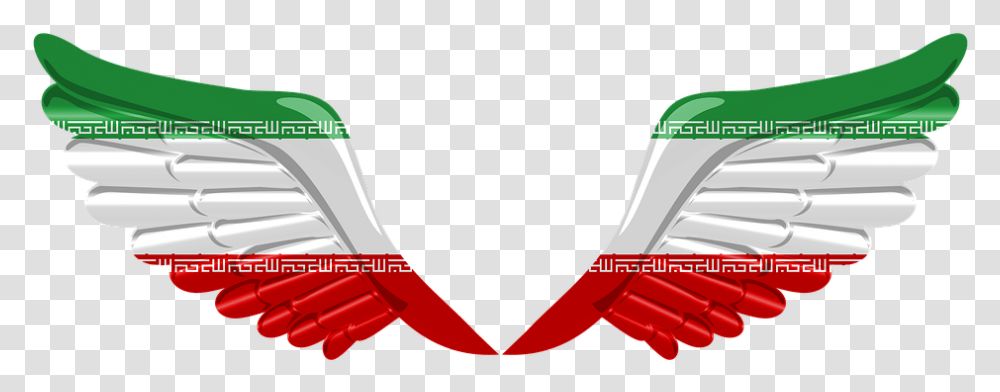 Flag Wings Tajikistan Iran 3d, Weapon, Weaponry, Bomb, Dynamite Transparent Png