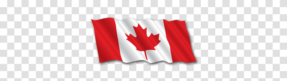 Flags, Leaf, Plant, American Flag Transparent Png