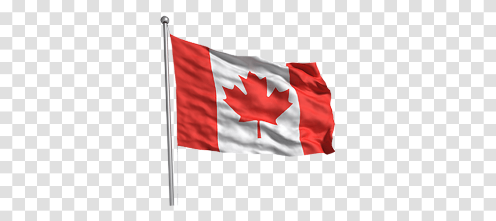 Flags, American Flag, Leaf, Plant Transparent Png