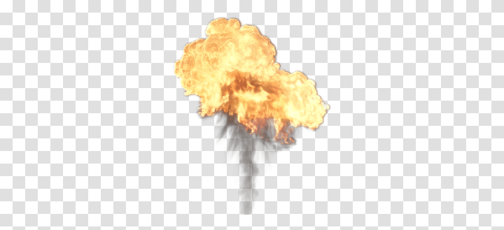 Flame, Fire, Fungus, Light, Flare Transparent Png