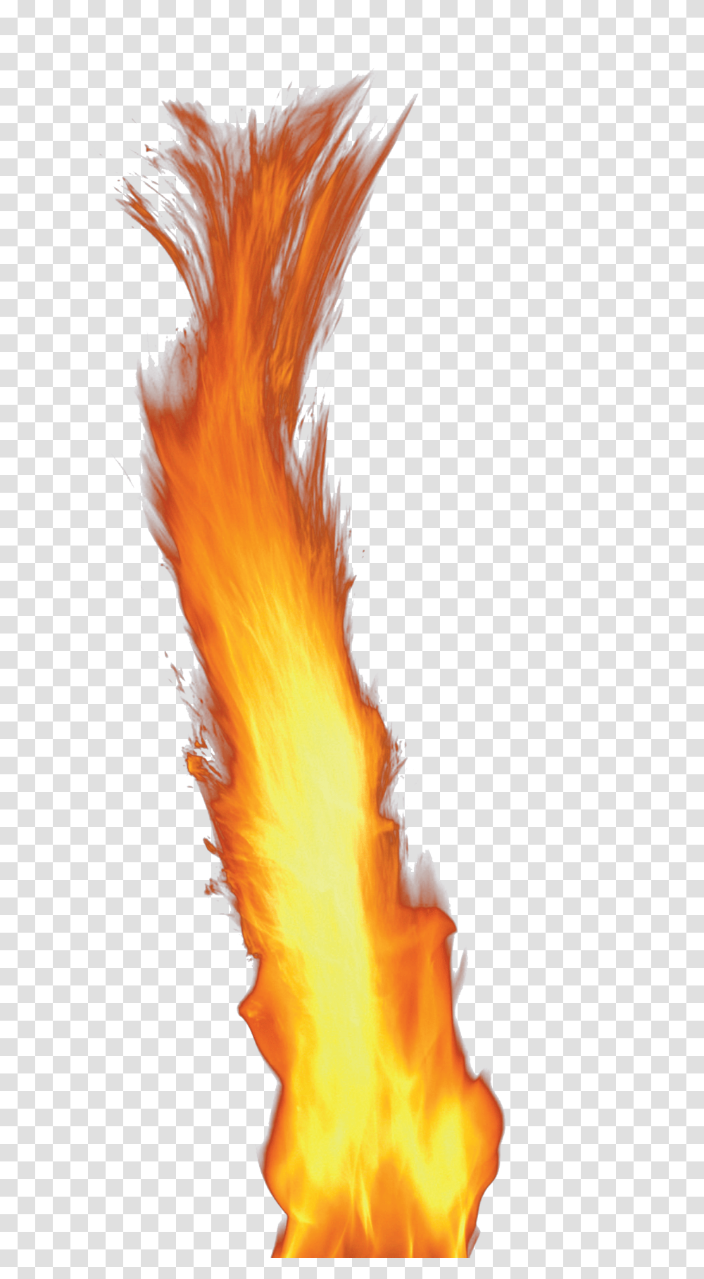 Flame, Nature, Fire, Bonfire, Animal Transparent Png