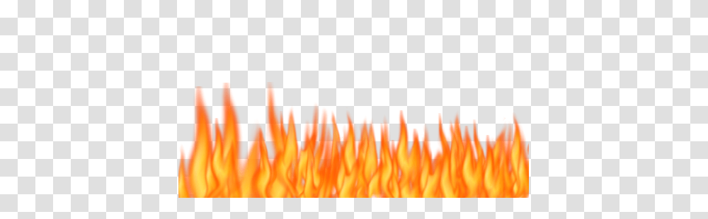 Flame, Nature, Pollen, Plant, Bonfire Transparent Png