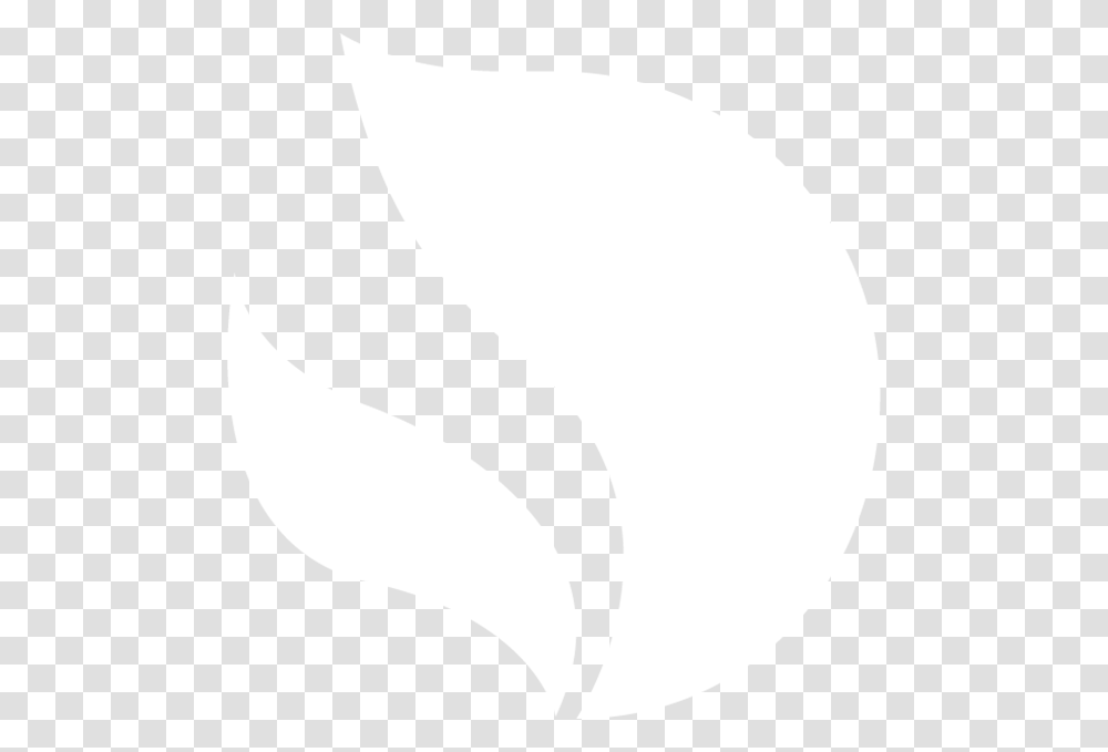 Flame, White, Texture, White Board Transparent Png