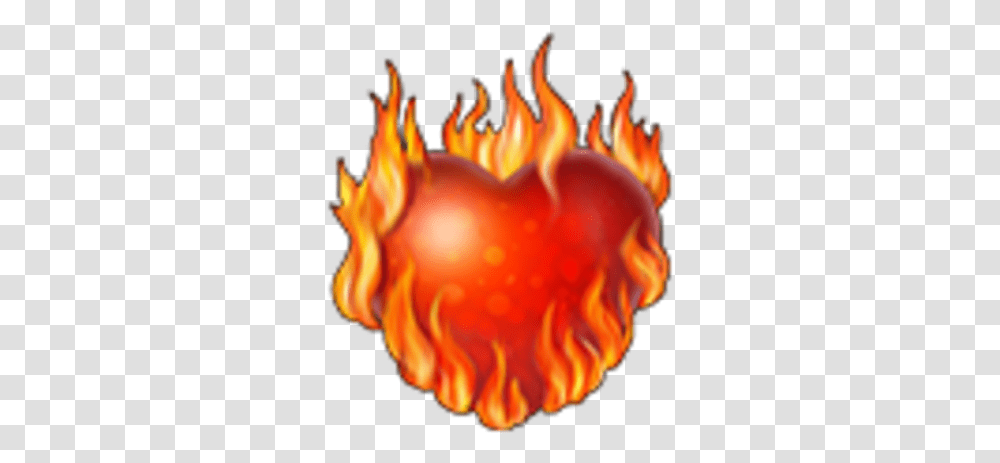 Flaming Heart Knights And Brides Wiki Fandom Flaming Heart, Bonfire, Flame, Animal, Invertebrate Transparent Png