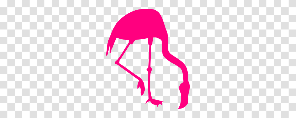 Flamingo Food, Axe, Tool, Bird Transparent Png