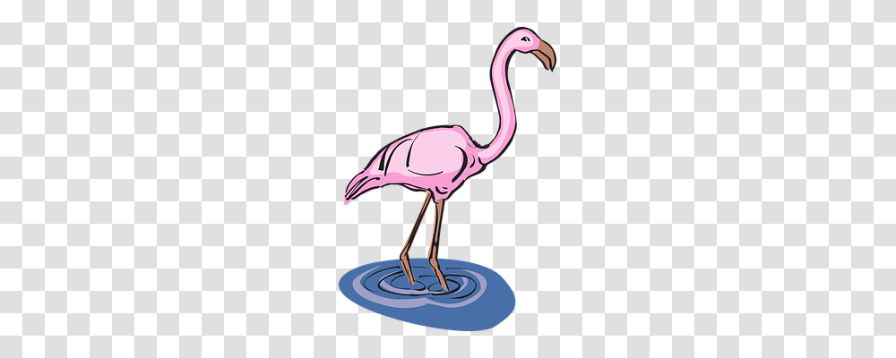 Flamingo Animals, Bird, Beak, Hammer Transparent Png
