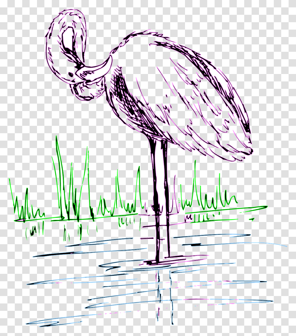 Flamingo, Animal, Bird, Waterfowl Transparent Png