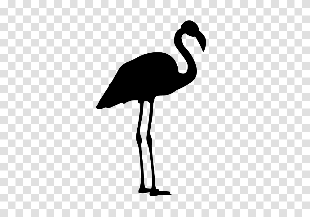 Flamingo Animal Silhouette Free Illustrations, Gray, World Of Warcraft Transparent Png