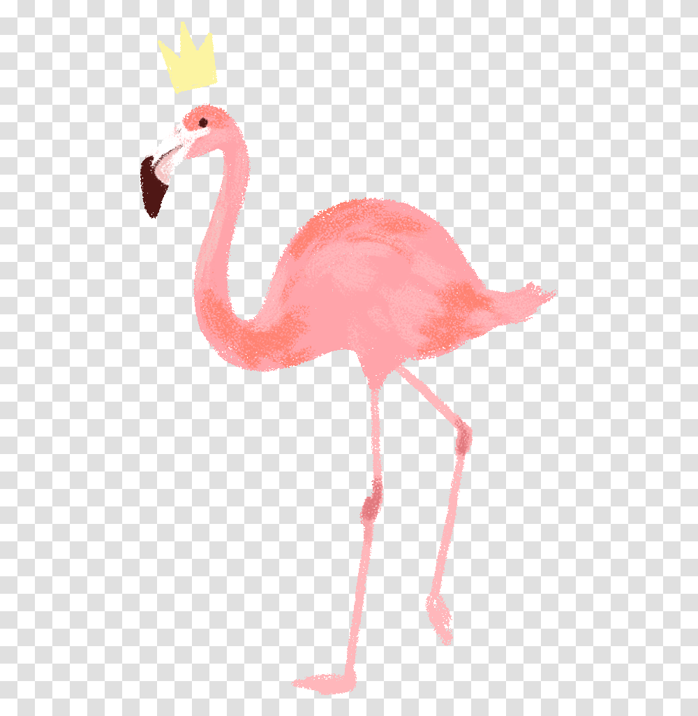 Flamingo Animated S Vintage Sticker Flamingo Flower Background Crown, Bird, Animal Transparent Png
