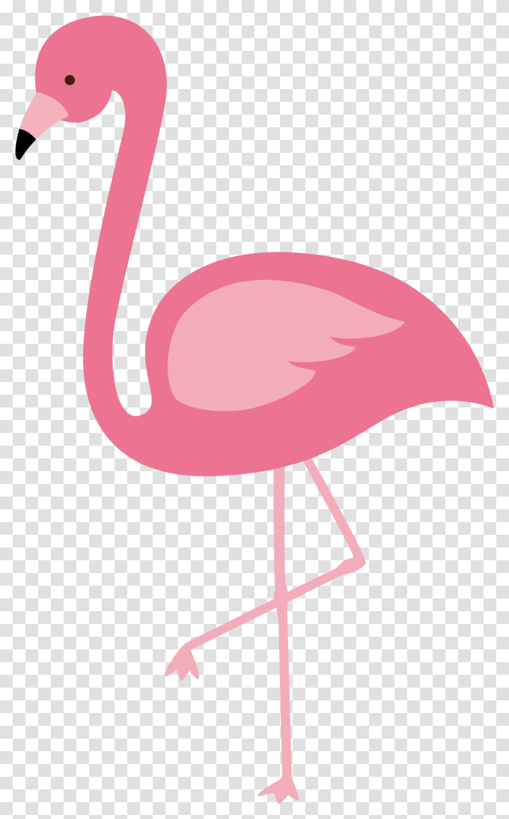 Flamingo Background Arts, Bird, Animal Transparent Png