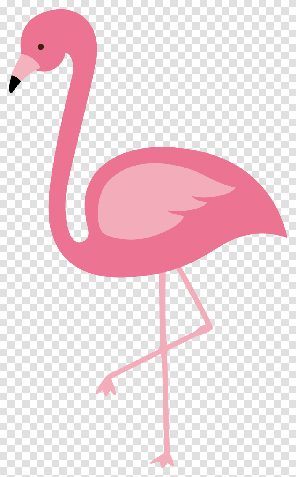 Flamingo Background Background Flamingo, Bird, Animal Transparent Png