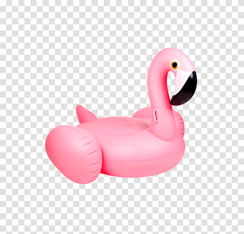 Flamingo Badmadrass Clip Art Flamingo, Inflatable, Cushion, Bird, Animal Transparent Png