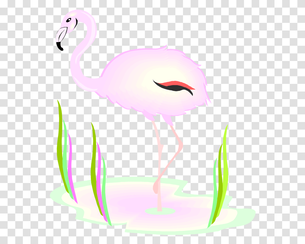 Flamingo, Bird, Animal, Birthday Cake, Dessert Transparent Png