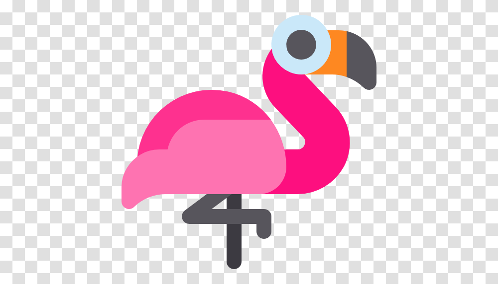 Flamingo, Bird, Animal Transparent Png