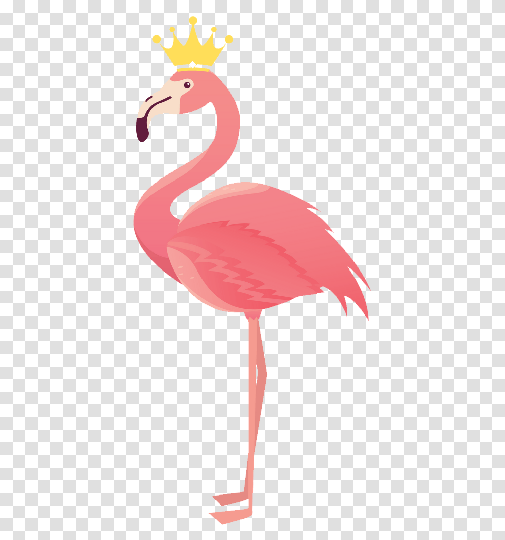 Flamingo, Bird, Animal Transparent Png