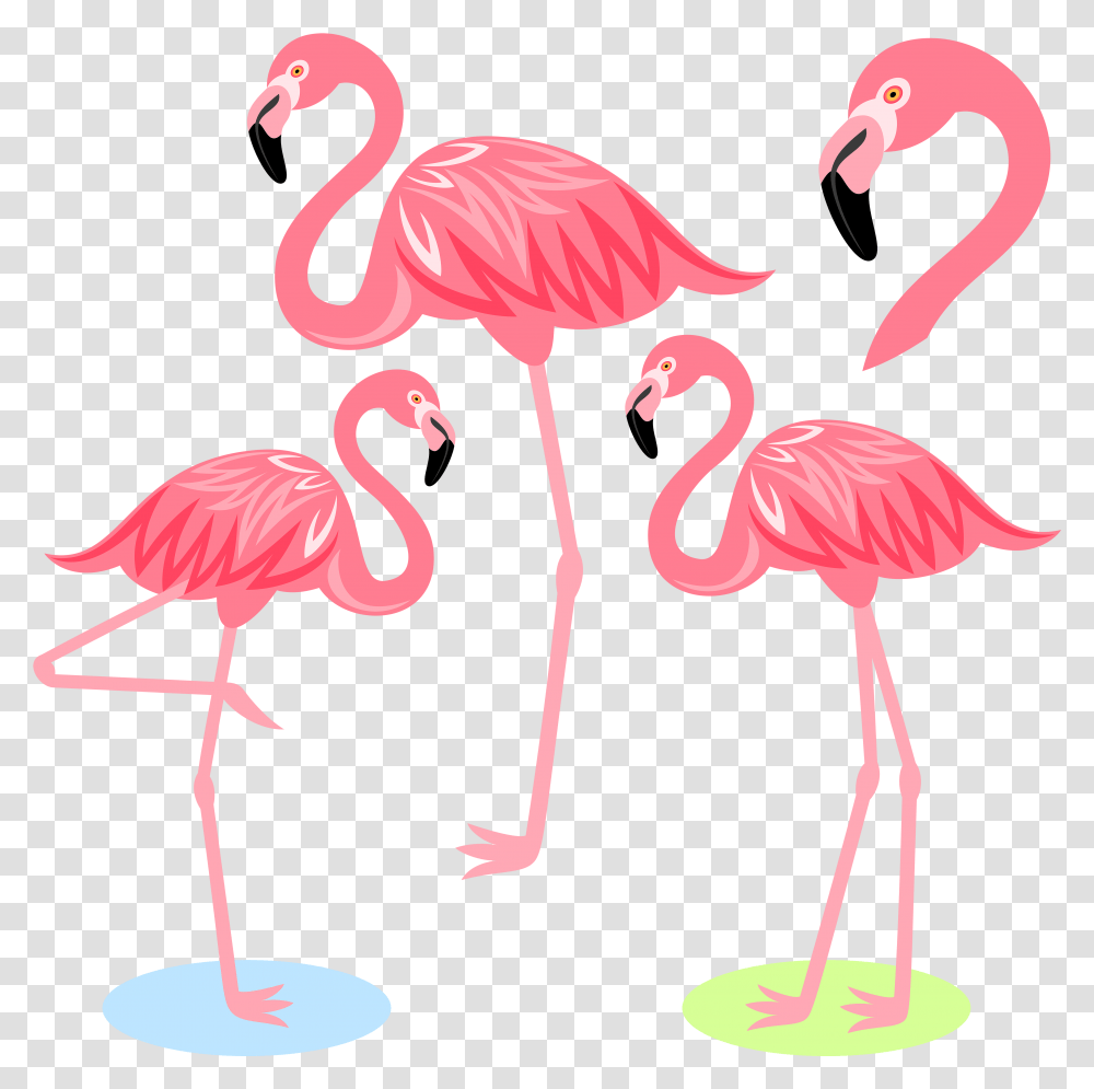 Flamingo Bird Illustration Cartoon Free Flamingo Cartoon, Animal Transparent Png