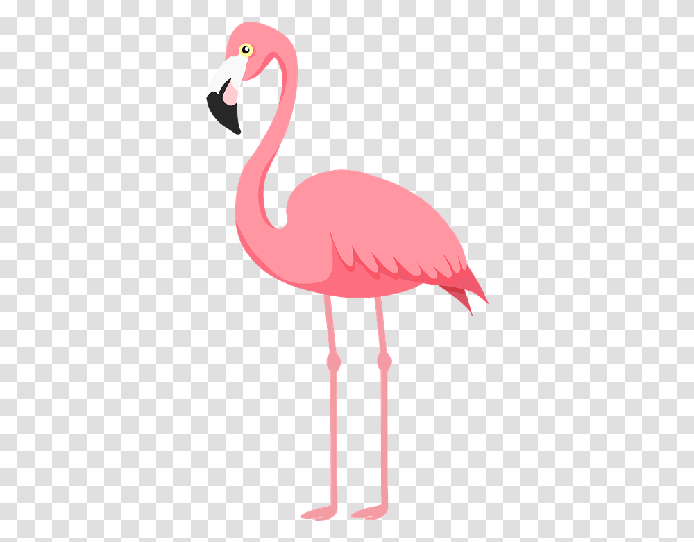 Flamingo Bird Pink Flamingo Illustration, Lamp, Animal, Beak Transparent Png