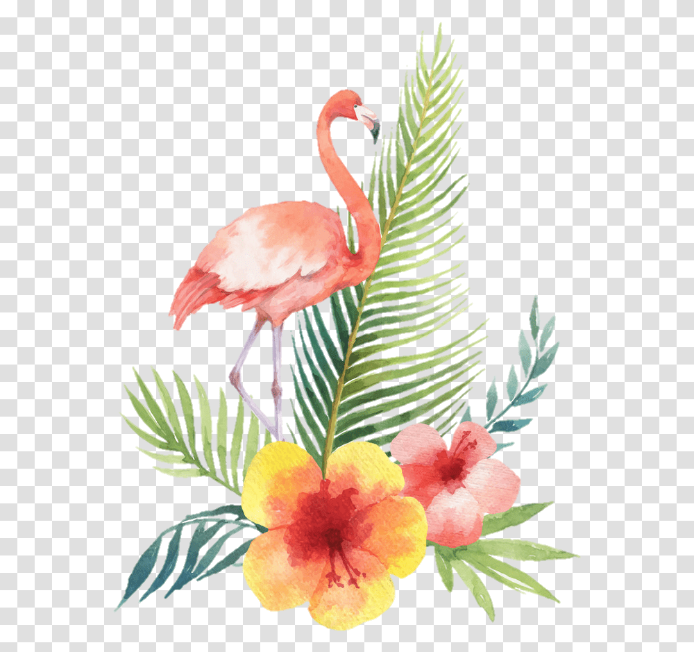 Flamingo Bird Tropical Summer Watercolor Flamingo Tropical Watercolor Vector, Animal, Flower Transparent Png