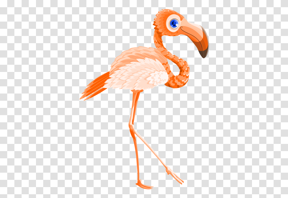 Flamingo Bird Vector Image Flamingo Bird Vector, Animal, Lamp, Beak Transparent Png