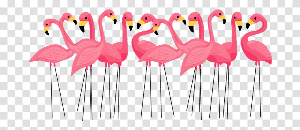 Flamingo Birthday Invitations, Animal, Bird Transparent Png