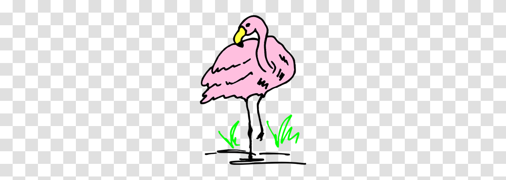Flamingo Cartoon Art Clip Art For Web, Hand, Animal, Outdoors Transparent Png